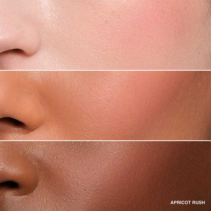 Bobbi Brown Pot Rogue Velvet Matte image number 18